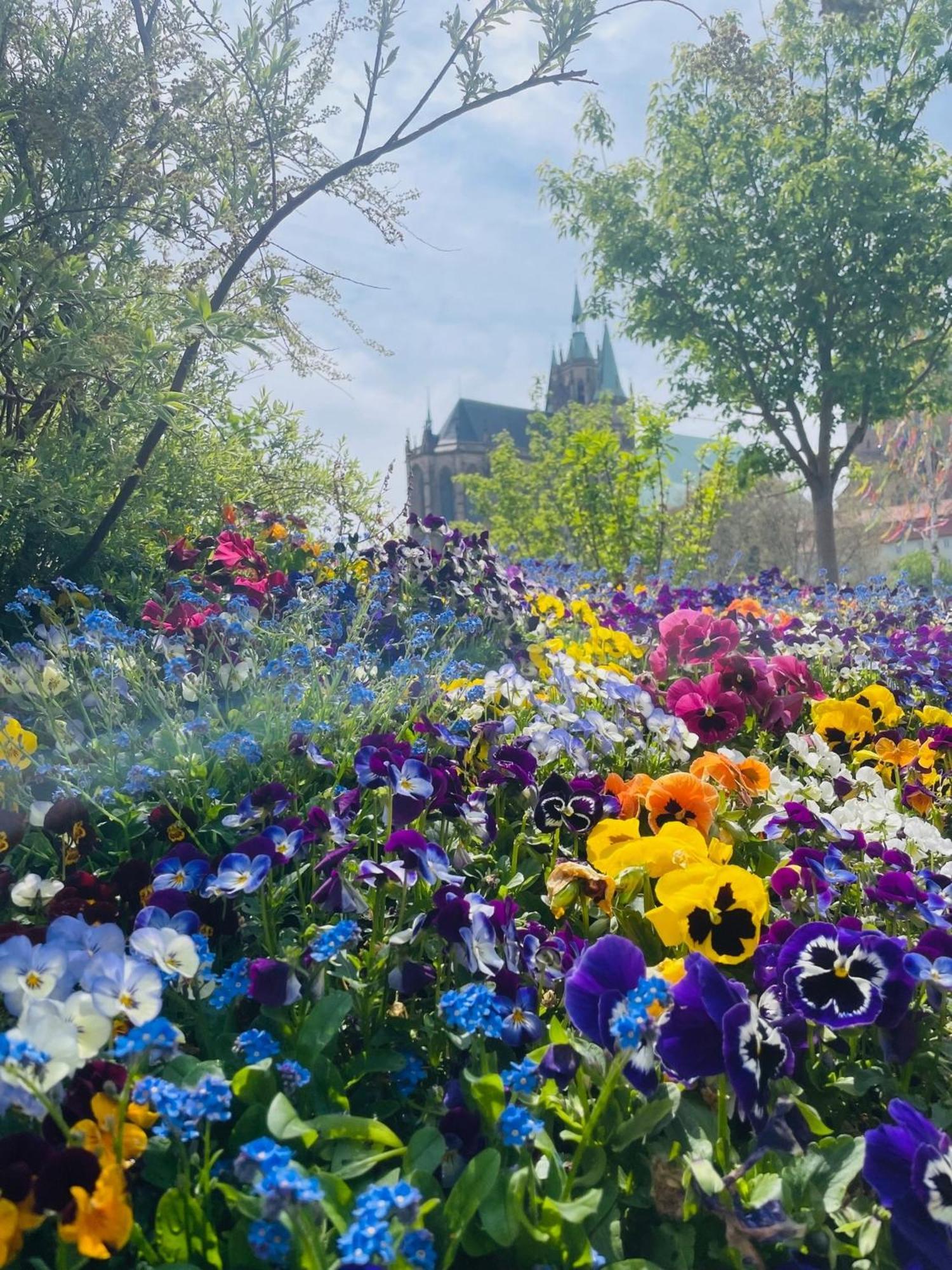 "Erfurt Geniessen" Exterior foto